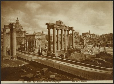 The Roman Forum, as seen from the Capitol by James Anderson