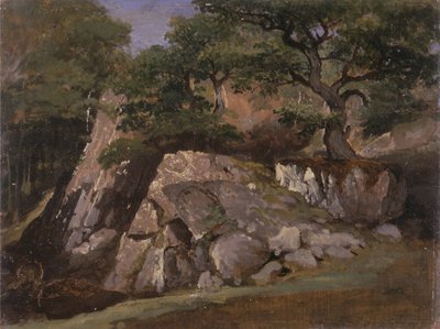 A View of the Valley of Rocks near Mittlach (Alsace) by James Arthur OConnor