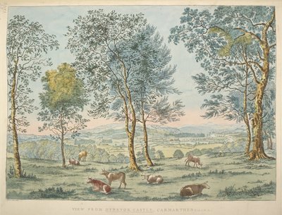View from Dynevor Castle, Carmarthen by James Bretherton