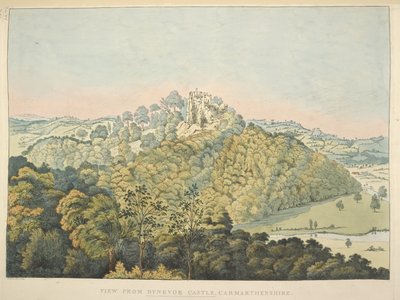 View from Dynevor Castle, overlooking the River Towy and Golden Grove by James Bretherton