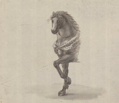 Study of the Front of a Horse by James Bruce
