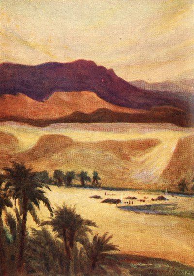 A Palestine Camp at Elim - Heb. xiii. 11 by James Clark and Henry A Harper