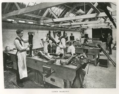 The Princess Louise Scottish Hospital for Limbless Sailors & Soldiers at Erskine House by James Craig Annan