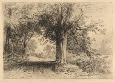 A Farm Lane, Jan. 1887, Opus 2 by James David Smillie