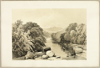 Ash, Sycamore and Oak (from The Park and the Forest) by James Duffield Harding