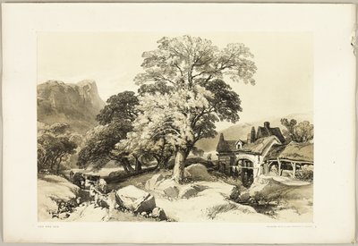 Ash and Oak, from The Park and the Forest by James Duffield Harding