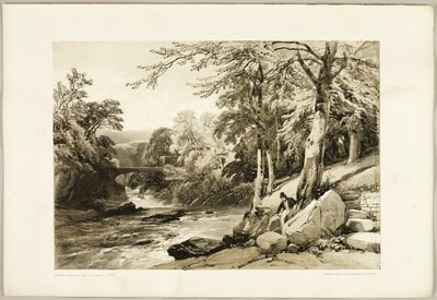 Beech and Ash on the Greta, from The Park and the Forest by James Duffield Harding