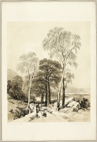 Birch and Oak, from The Park and the Forest by James Duffield Harding