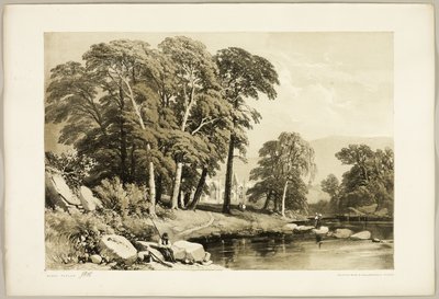 Black Poplar, from The Park and the Forest by James Duffield Harding