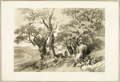 Old Oaks, from The Park and the Forest by James Duffield Harding