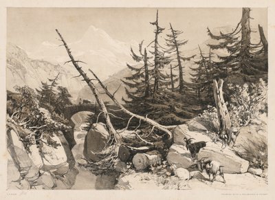 Pine Trees and Bridge by James Duffield Harding