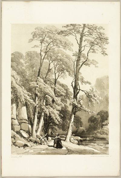 Sycamore, from The Park and the Forest by James Duffield Harding