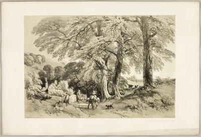 Wych Elm, from The Park and the Forest by James Duffield Harding