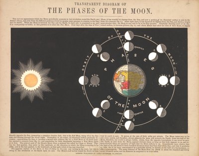 Transparent Diagram of the Phases of the Moon by James & Emslie John (1813 75) Reynolds