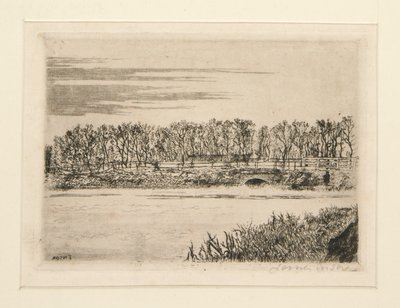 The Bridge in the Wood at Ostend by James Ensor