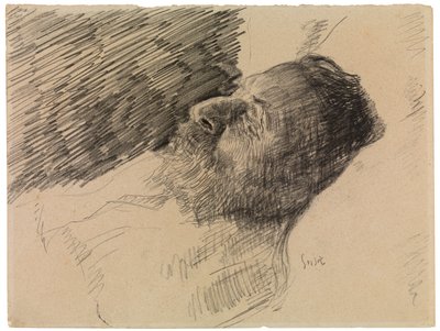 The Artist