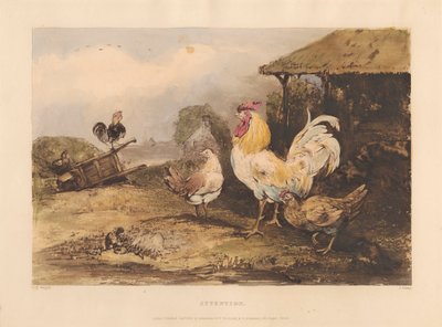Rural Chivalry; A Series in Six Plates of Fighting Cocks: 1. Attention by James Fahey