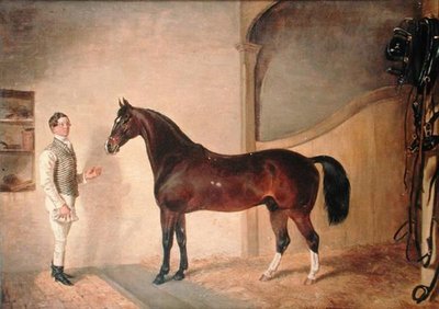 Groom with Hunter on Tredegar Estate, Monmouthshire by James Flewitt Mullock