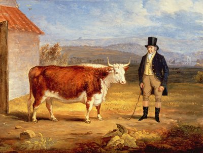 Mr James Hodges and his Two Year-Old Hereford Heifer, c.1843 by James Flewitt Mullock