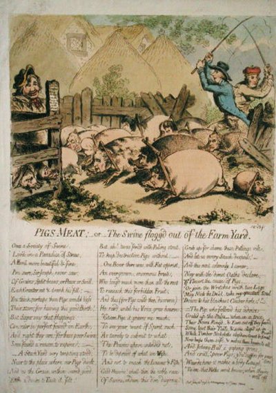 Pig