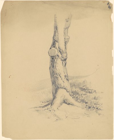Old Tree Trunk by James Goodwyn Clonney