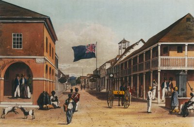 A Picturesque Tour of the Island of Jamaica, from Drawings Made in the Years 1820 and 1821 by James Hakewill