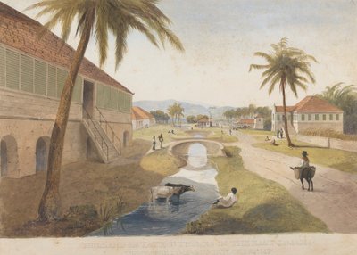 Holland Estate, St. Thomas in the East, Jamaica by James Hakewill