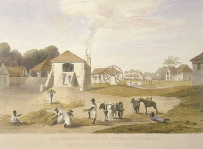 Mill Yard, Holland Estate, St. Thomas in the East by James Hakewill
