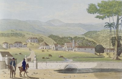Montpelier Estates, St James, from 