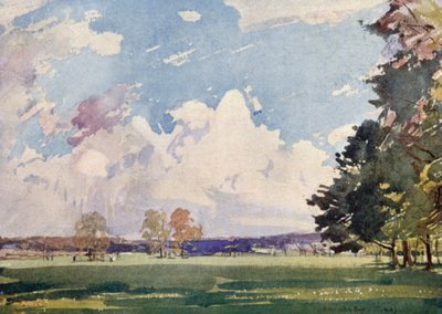 Calderstones Park by James Hamilton Hay