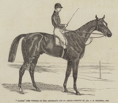 Alarm, the Winner of the Emperor