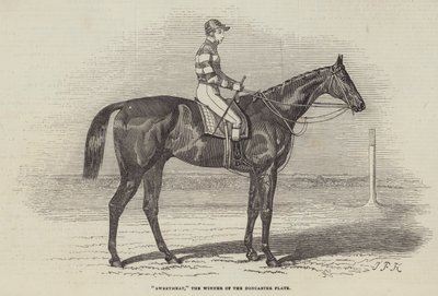 Sweetmeat, the Winner of the Doncaster Plate by James Herring