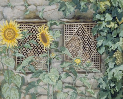 Jesus Looking through a Lattice with Sunflowers, illustration for The Life of Christ, c.1886-96 by James Jacques Joseph Tissot