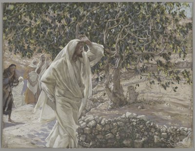The Accursed Fig Tree, illustration from The Life of Our Lord Jesus Christ by James Jacques Joseph Tissot