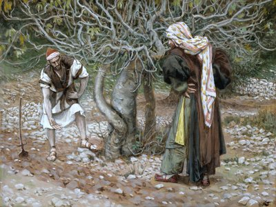 The Barren Fig Tree, Illustration for The Life of Christ by James Jacques Joseph Tissot