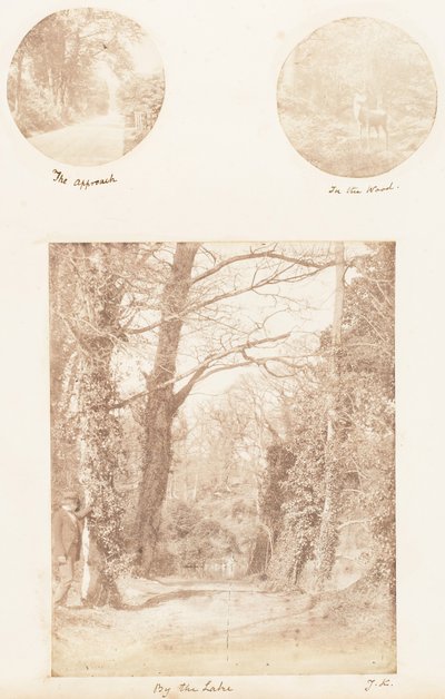The Approach, In the Wood, By the Lake by James Knight