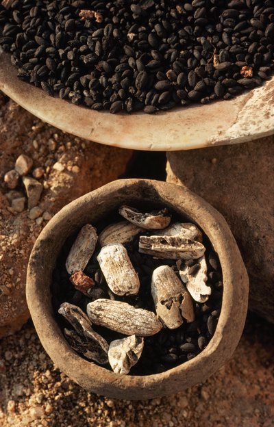 Dry foods are found in bowls at the site of an ancient city. Stara Zagora, Bulgaria. by James L Stanfield