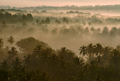 Early morning fog over Old Goa landscape at sunrise by James L Stanfield