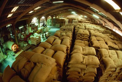 Sacks of cacao stacked up in a conditioning warehouse, Abidjan, Ivory Coast by James L Stanfield