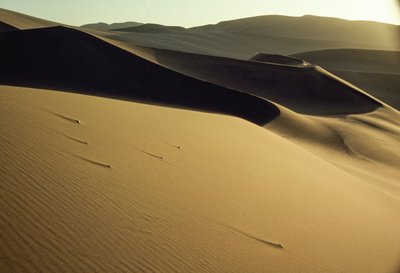 View of sharply-cut shadowed dunes near Dunhuang. Gansu Province, People
