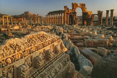 View of the Roman ruins at Palmyra. Palmyra, Syria. by James L Stanfield
