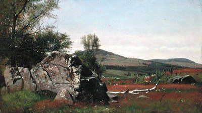 Summer in the Catskills by James McDougal Hart