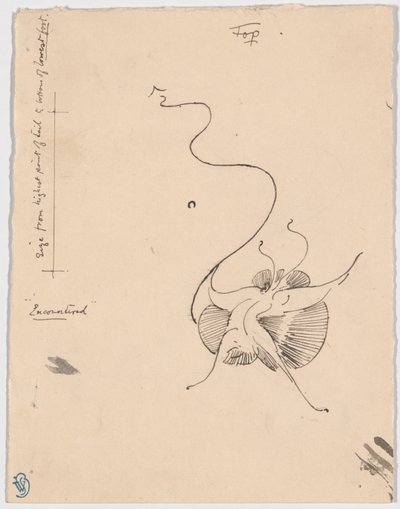 Butterfly "Encountered" (recto); Sketch for Tailpiece (verso) by James McNeill Whistler
