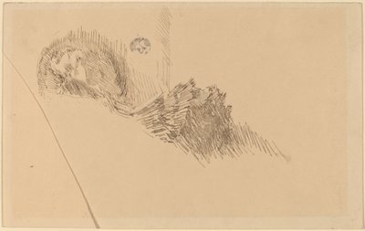 Mrs or Miss McNay by James Abbott McNeill Whistler