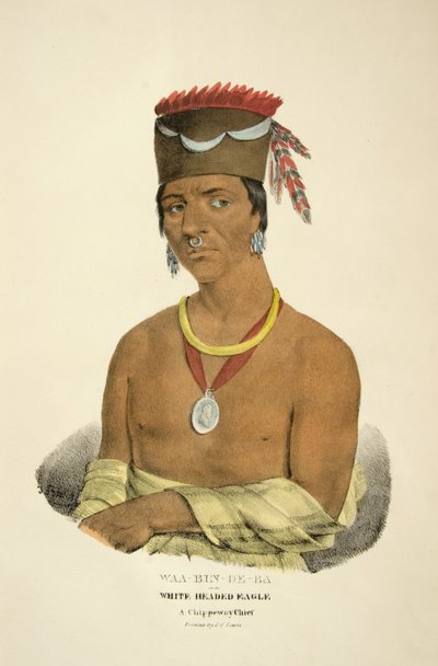 Waa-bin-de-ba or the White Headed Eagle by James Otto Lewis