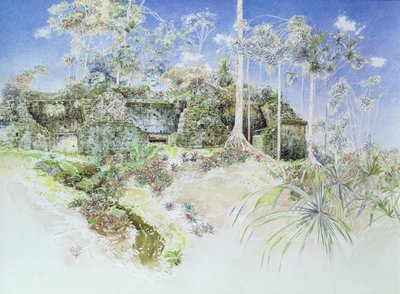 Ruined Temple, Tikal, Guatemala, 1984 by James Reeve
