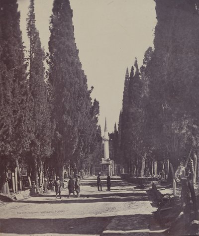 Scene in the Large Cemetery of Scutari by James Robertson