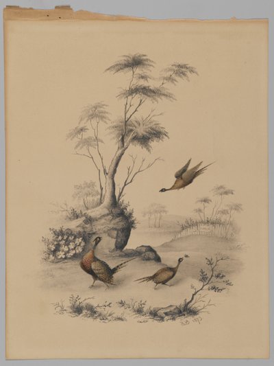 Three Pheasants by James Ryder van Brunt