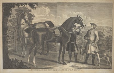 Two Hunters Belonging to His Grace the Duke of Bolton by James Seymour
