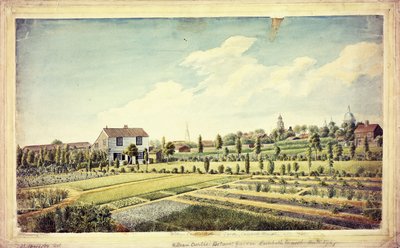 Botanic Garden, Lambeth Marsh, c.1787 by James Sowerby